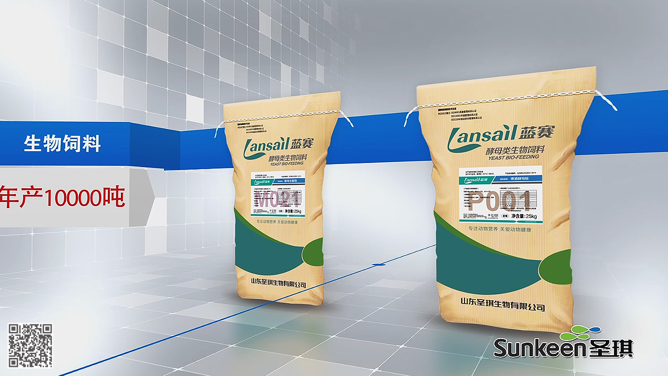 圣琪年度項目包裝整體設(shè)計