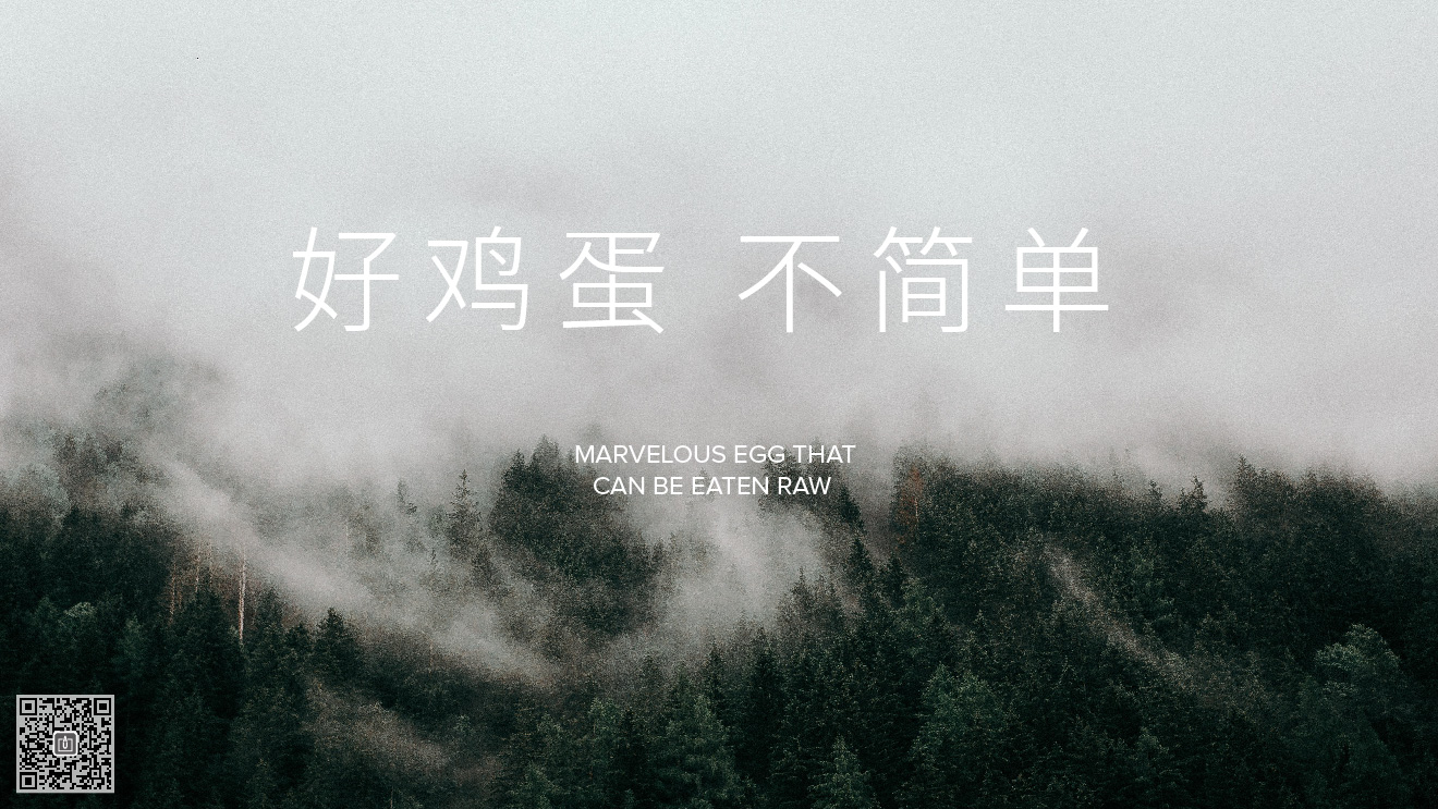 企業(yè)形象設(shè)計、凸顯品牌個性